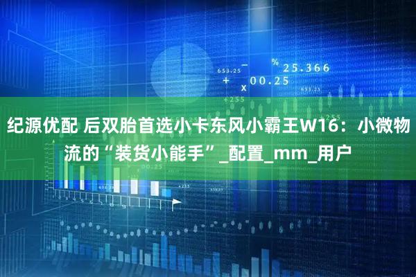 纪源优配 后双胎首选小卡东风小霸王W16：小微物流的“装货小能手”_配置_mm_用户